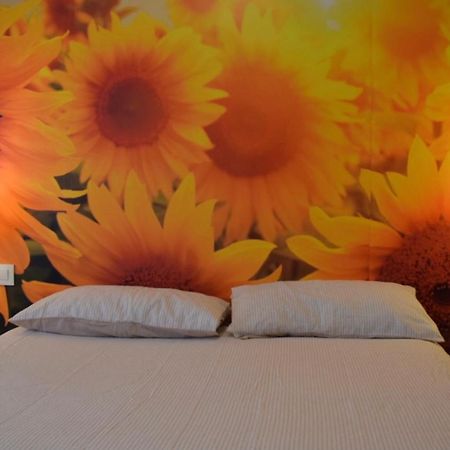 Apartament El Ramillete Soria Zewnętrze zdjęcie